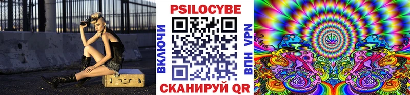 Псилоцибиновые грибы мухоморы  купить наркоту  блэк спрут зеркало  Зерноград 